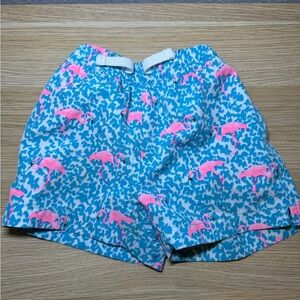 Chubbies Swim Trunks (2)